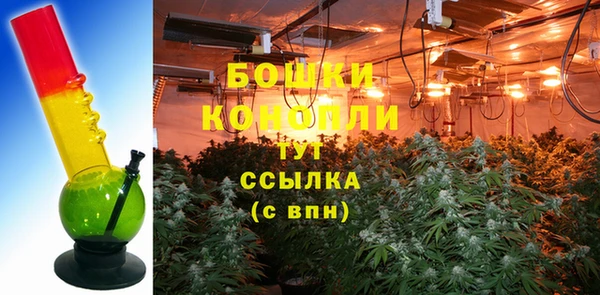 мдма Заводоуковск