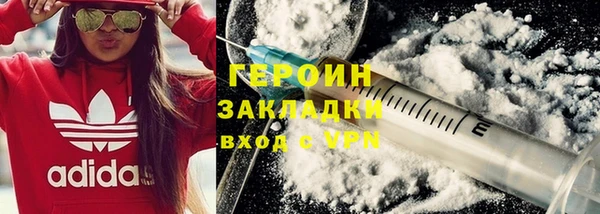 стаф Ельня