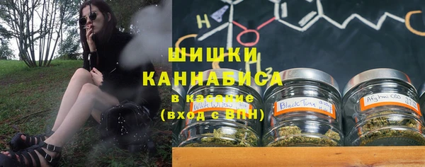 стаф Ельня