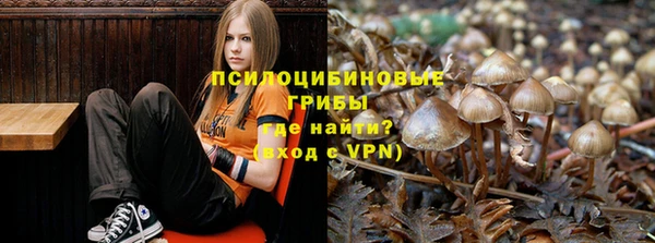 амфетамин Елизово