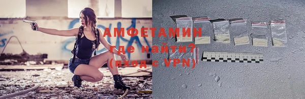 стаф Ельня