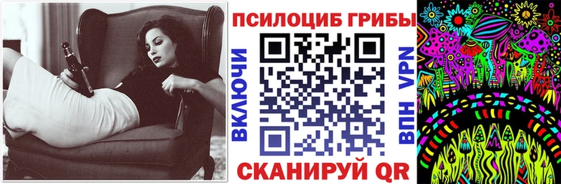 Купить где  Козельск  Псилоцибиновые грибы Psilocybe 